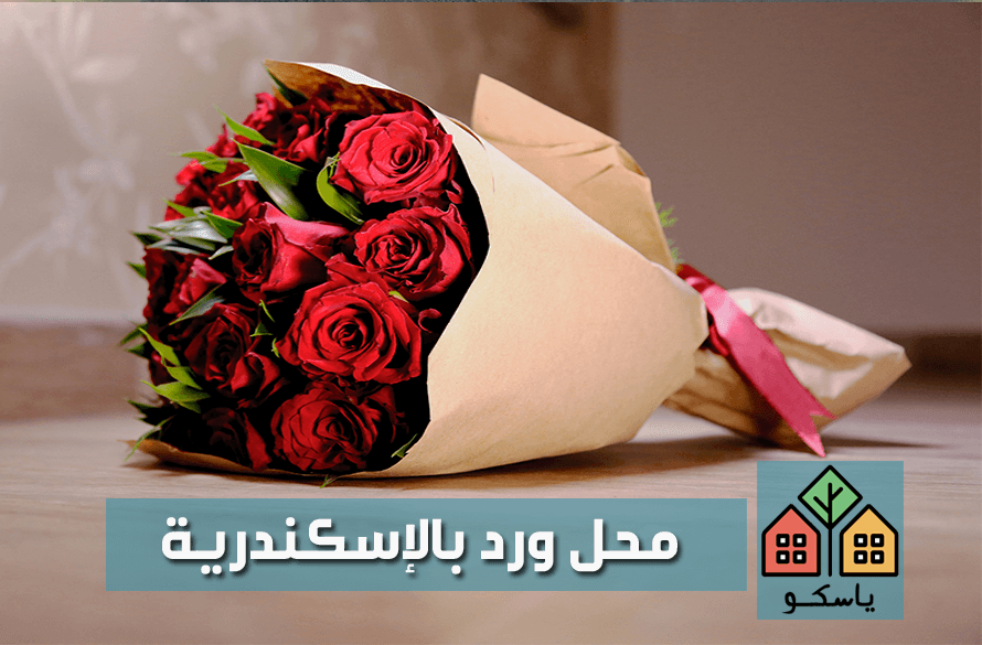محل ورد بالإسكندرية ياسكو