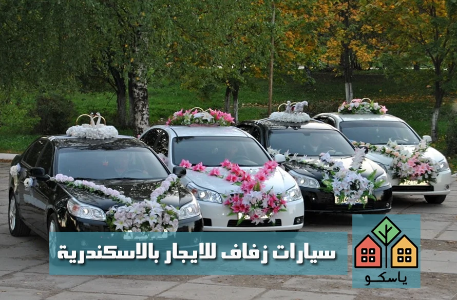 سيارات زفاف للايجار بالاسكندرية